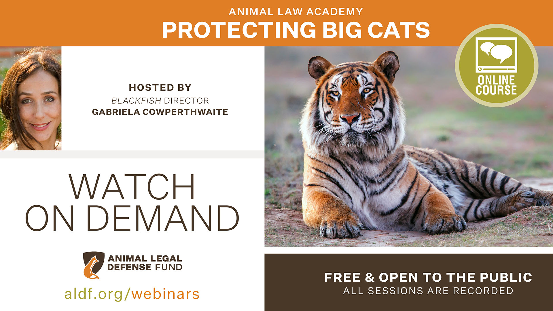 Protecting Big Cats - Animal Legal Defense Fund