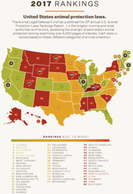 Best And Worst States For Animal Protection Laws, 2017 Report Released ...