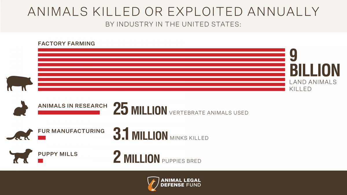 Farmed Animals - Animal Legal Defense Fund