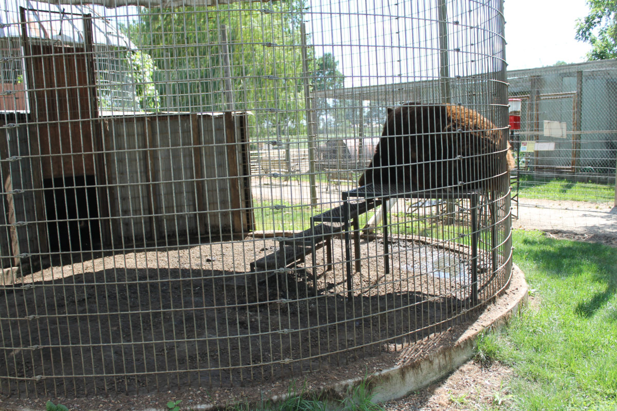 Roadside Zoos Animal Legal Defense Fund