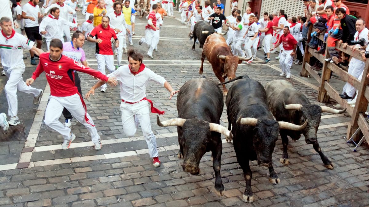 Spanish Court Overturns Catalonias Bullfighting Ban Animal Legal