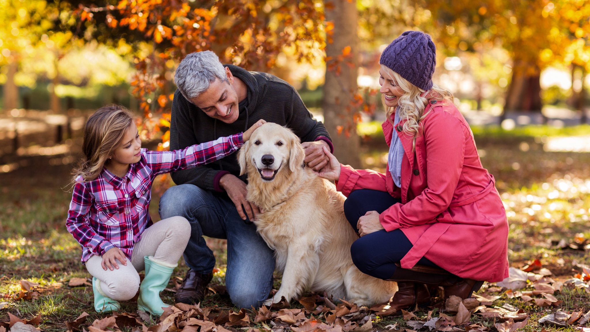 Can Dogs Tell Gender Differences Dog Senses Explained DoggieCoupon