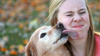 dog with human