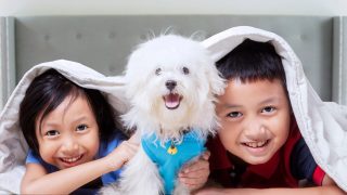 dog with kids