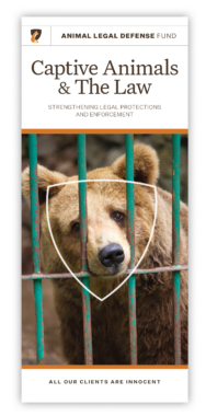 Captive Animals - Animal Legal Defense Fund