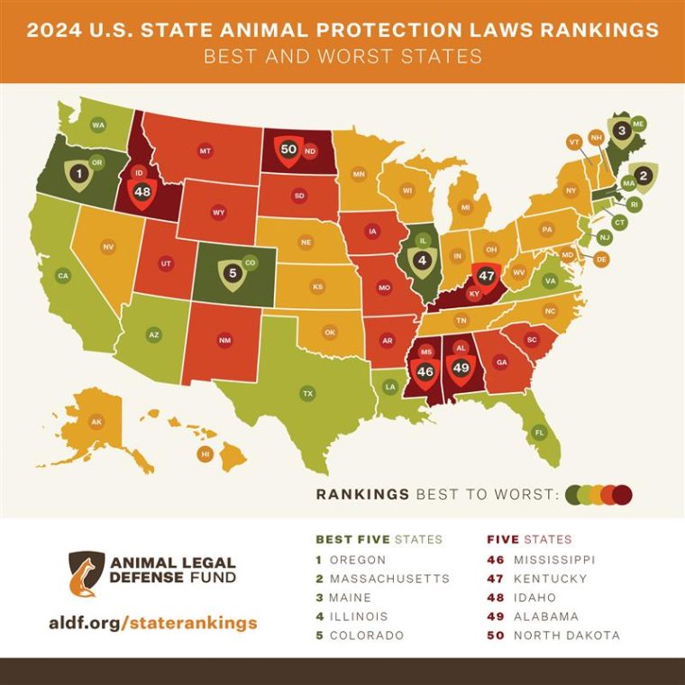 2024 State Ranking Report Map