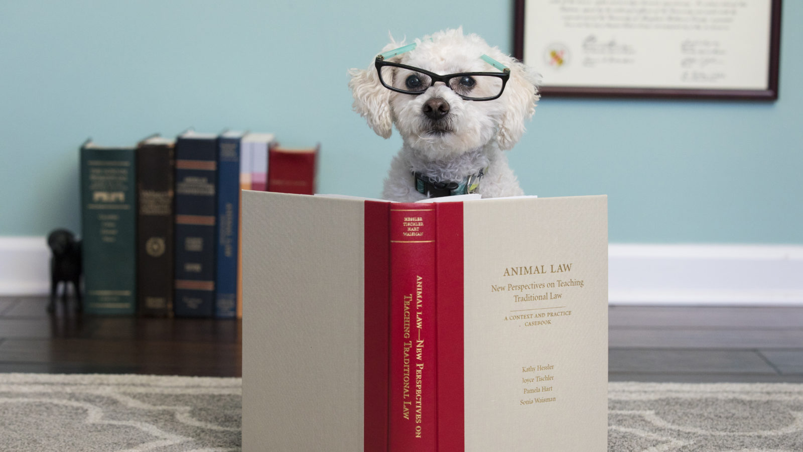 Animal Law Books & Periodicals