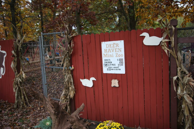 Animals Rescued from Maryland Roadside Zoo After Threat of Lawsuit