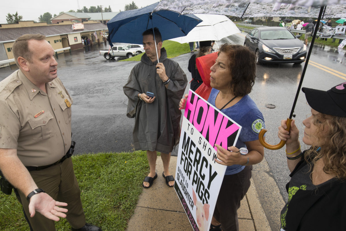 protesters