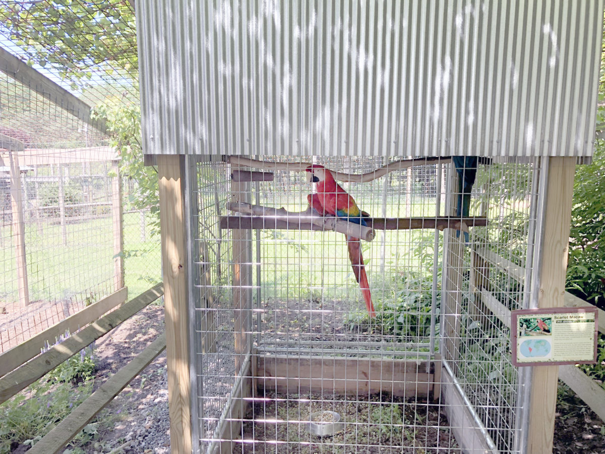 Curated visual reference: Fresh Look at Farmers Inn Roadside Zoo Sued For Mistreatment Of Animals