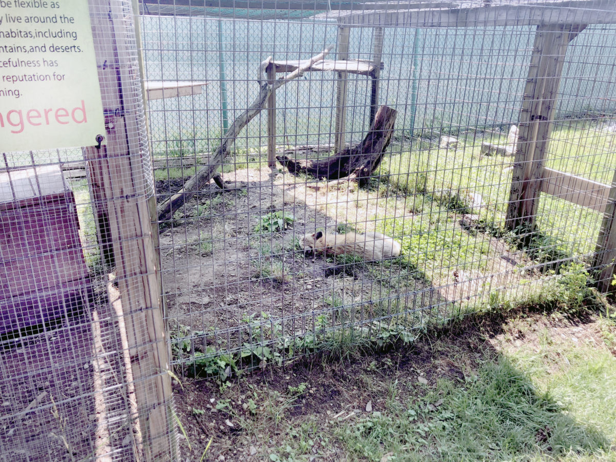 Farmers Inn Roadside Zoo Sued for Mistreatment of Animals - Animal ...