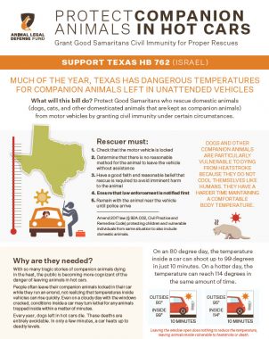 Protecting Companion Animals in Hot Cars - Texas SB 250 and HB 810