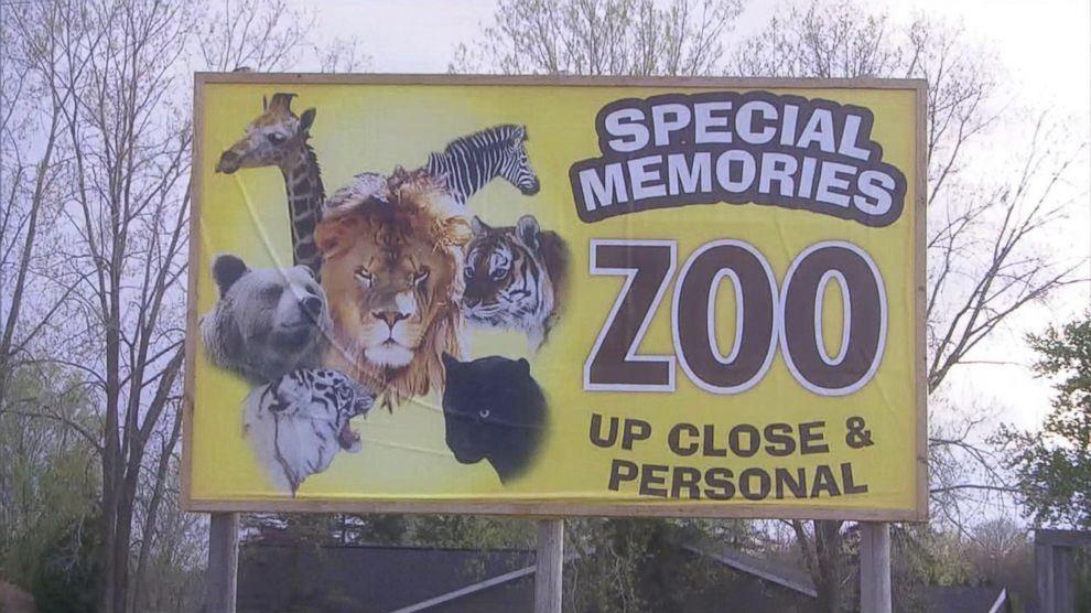 Challenging the Treatment of Animals at Special Memories Zoo - Animal