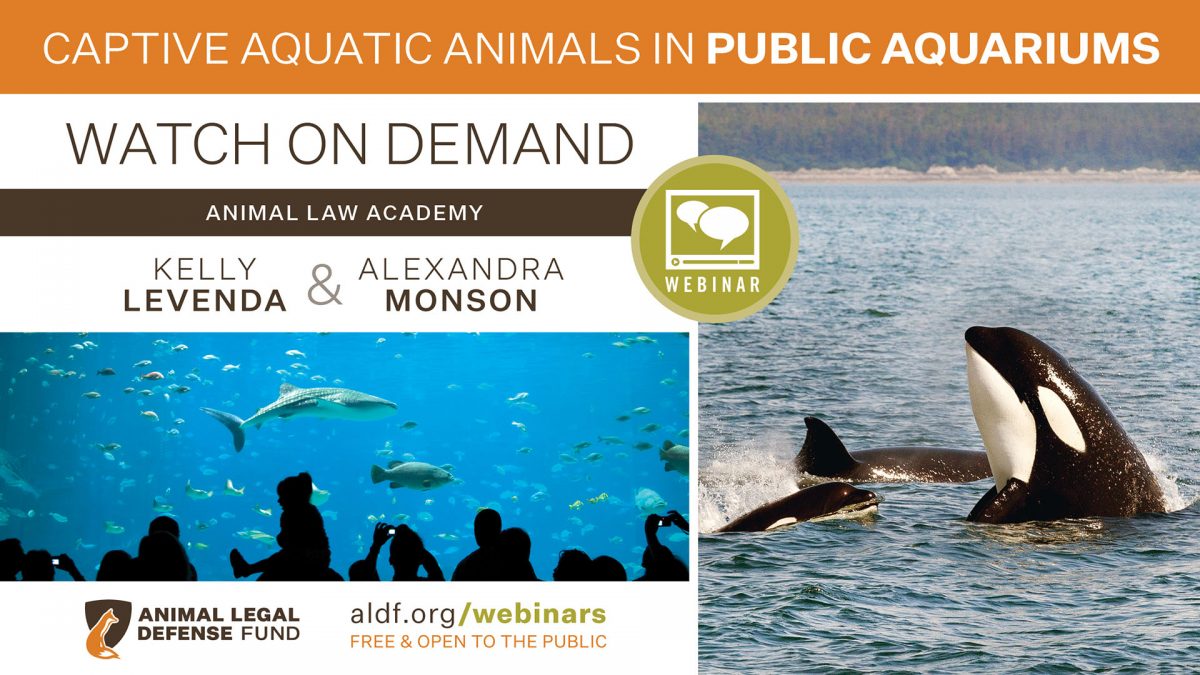 Captive Aquatic Animals In Public Aquariums 2019 - Animal Legal Defense ...