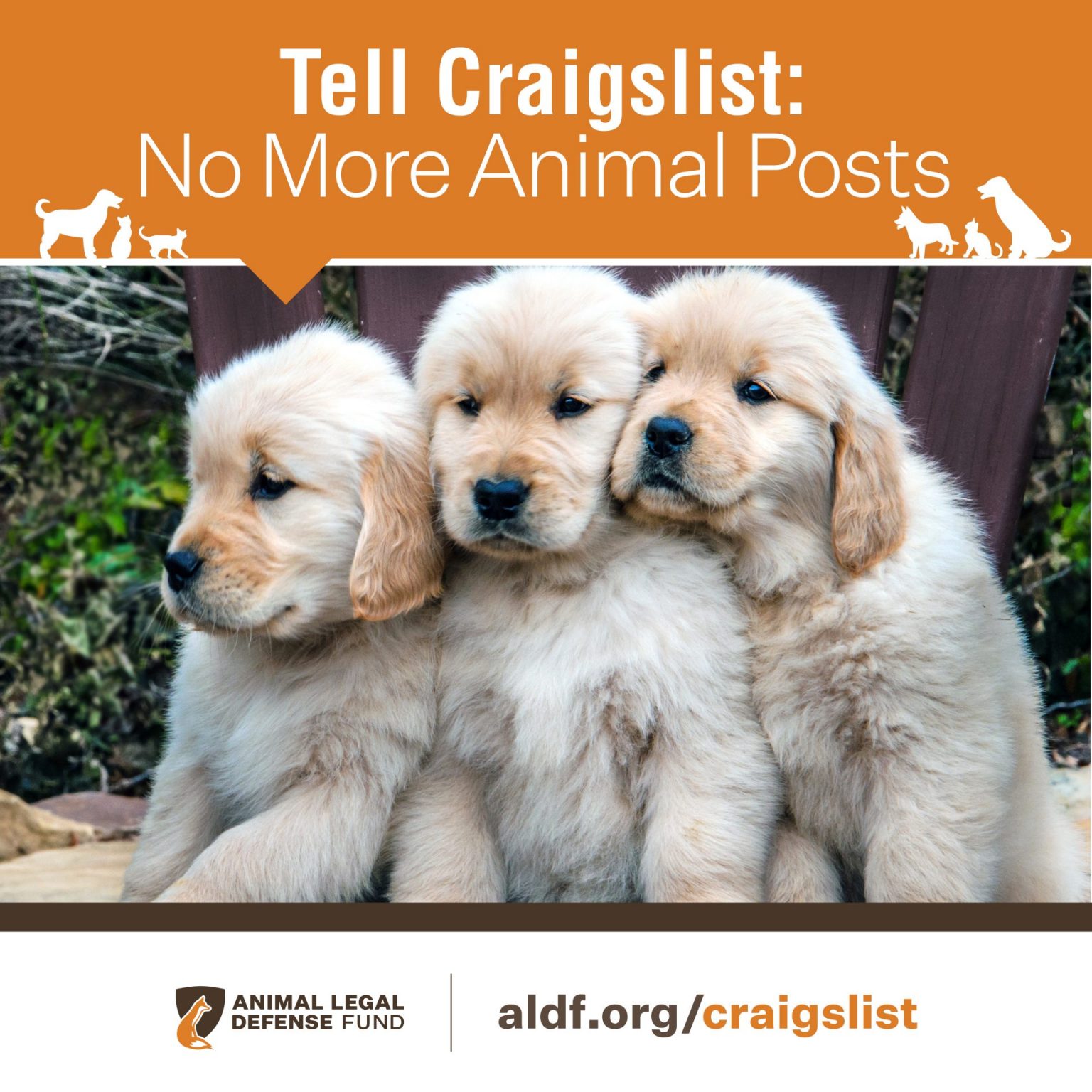 urge-craigslist-to-ban-animal-posts-animal-legal-defense-fund