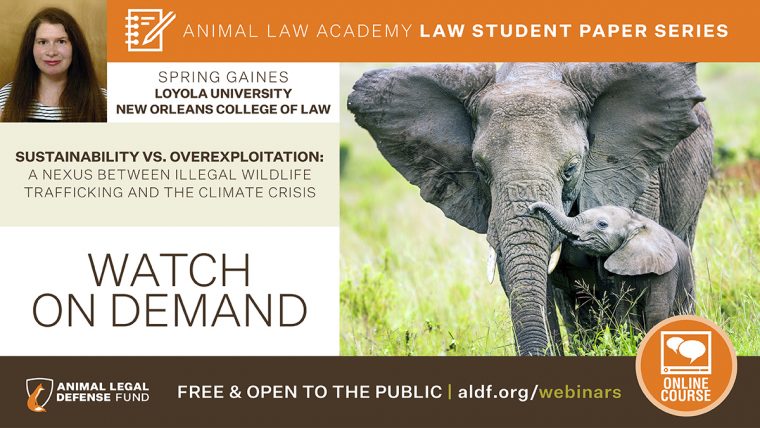 Law Student Paper Series — Sustainability vs. Overexploitation: A Nexus  Between Illegal Wildlife Trafficking and the Climate Crisis - Animal Legal  Defense Fund