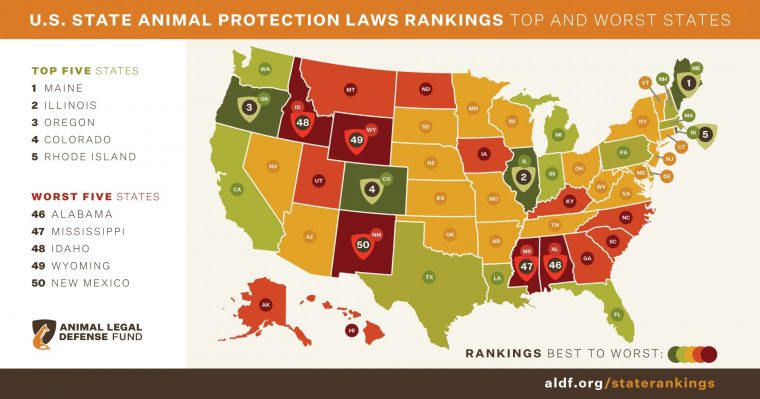 State Animal Protection Laws Ranked: Maine is #1, New Mexico #50 - Animal  Legal Defense Fund