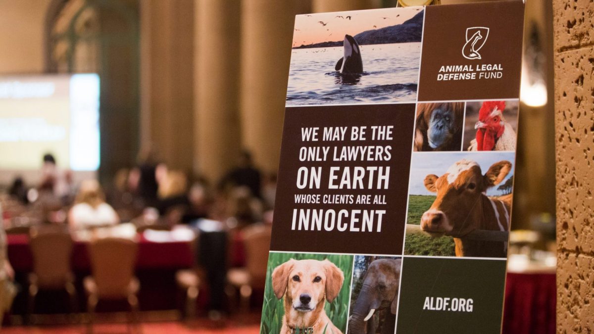 Animal Law Symposium: Wildlife 2022 - Animal Legal Defense Fund