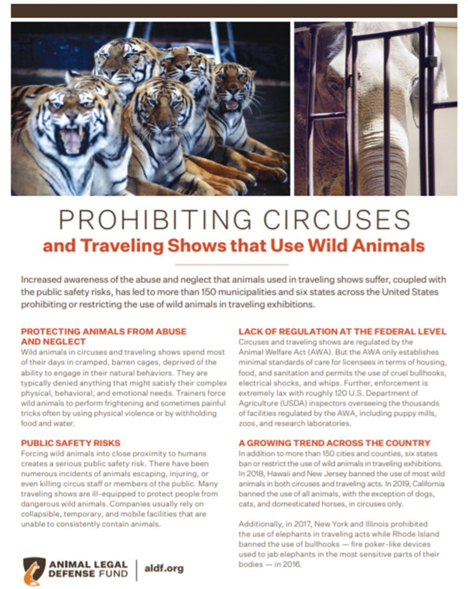 Prohibiting Circuses and Traveling Acts that Use Animals Animal Legal