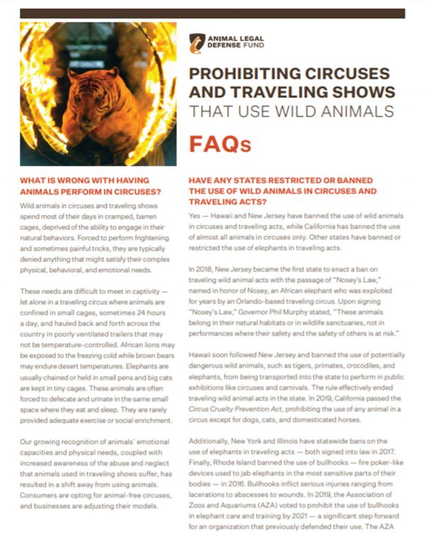 Prohibiting Circuses and Traveling Acts that Use Animals Animal Legal