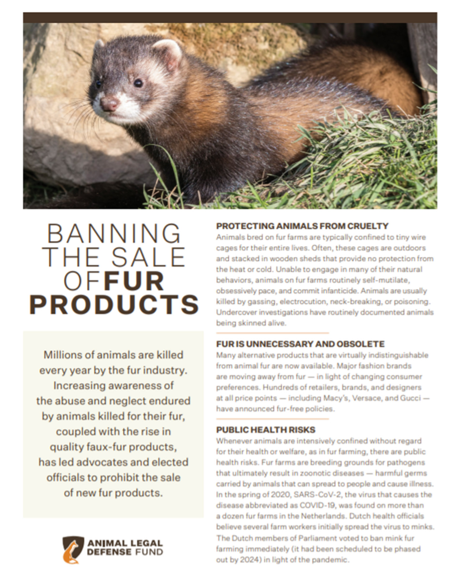 Fur Sale Bans - Animal Legal Defense Fund
