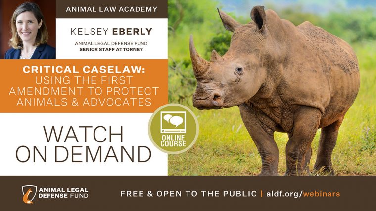 Critical Caselaw: Using the First Amendment to Protect Animals & Advocates  - Animal Legal Defense Fund