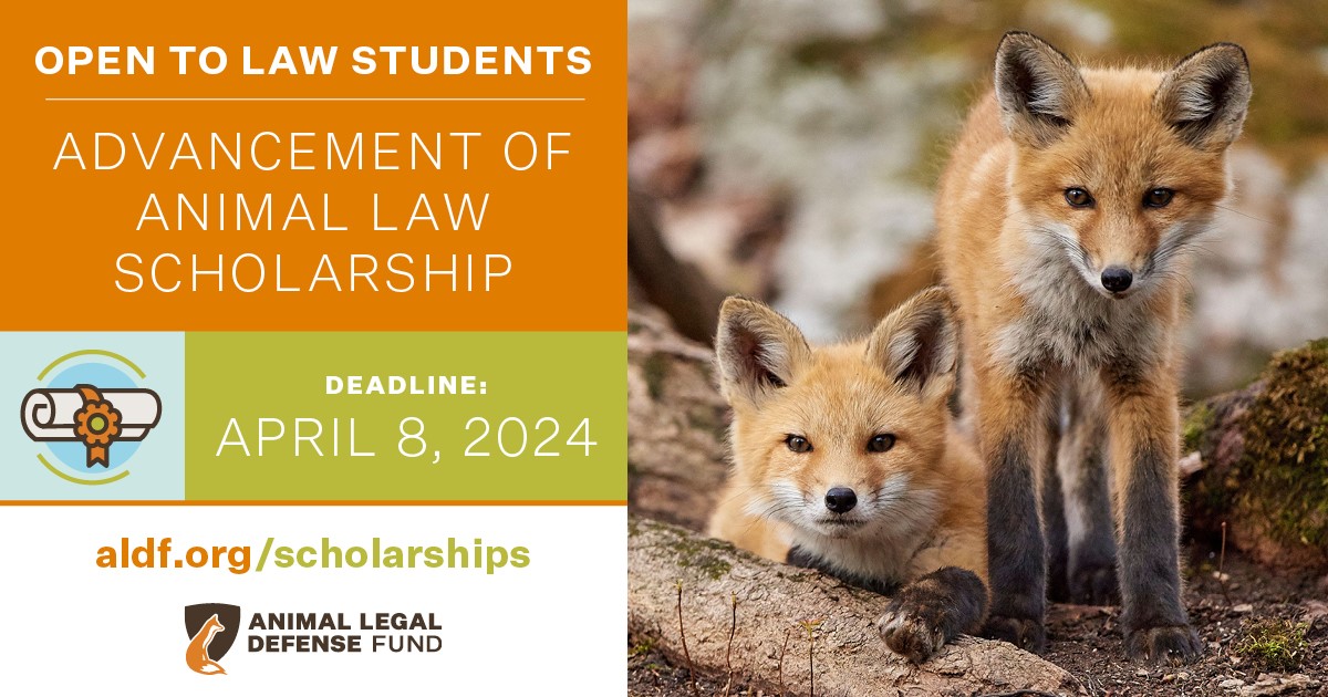 Advancement of Animal Law Scholarships Animal Legal Defense Fund