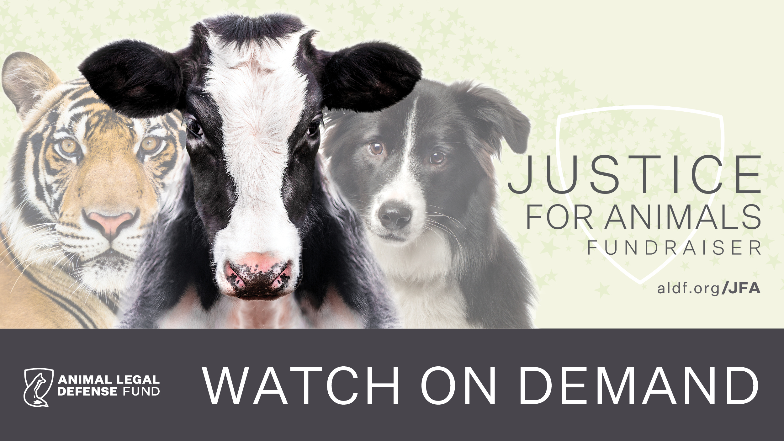 Justice for Animals Fundraiser 2022 - Animal Legal Defense Fund