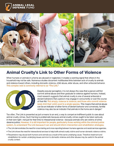 Animal Cruelty and Domestic Violence - The Link Between Cruelty to Animals  and Violence Toward Humans