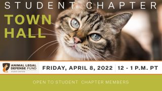 Student Chapter Townhall