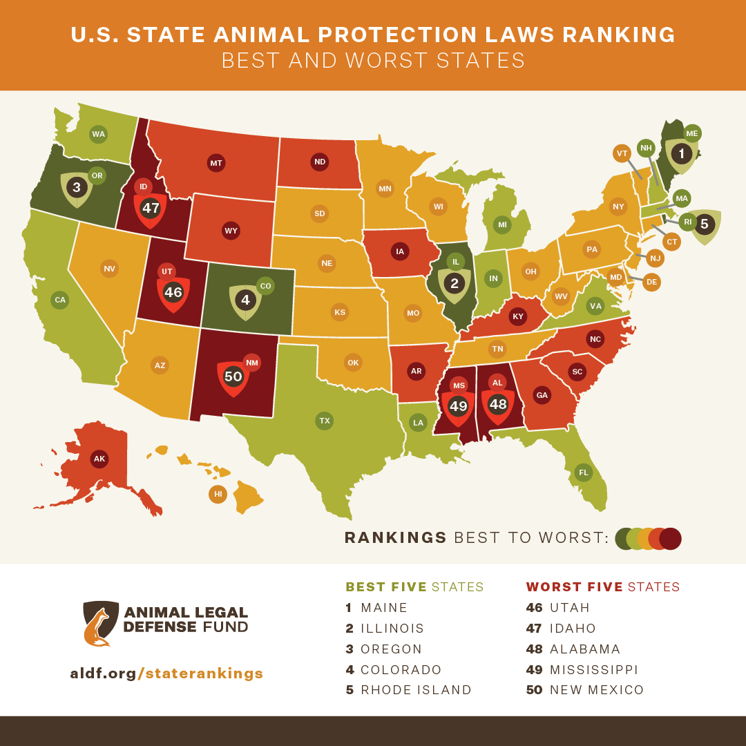 States’ Animal Protection Laws Ranked by Animal Legal Defense Fund