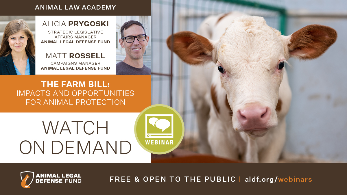 The Farm Bill Impacts and Opportunities for Animal Protection Animal