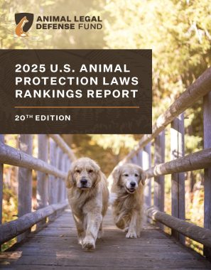 2025 U.S. Animal Protection Laws Rankings - Animal Legal Defense Fund