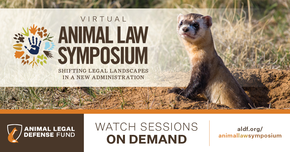 Watch On Demand