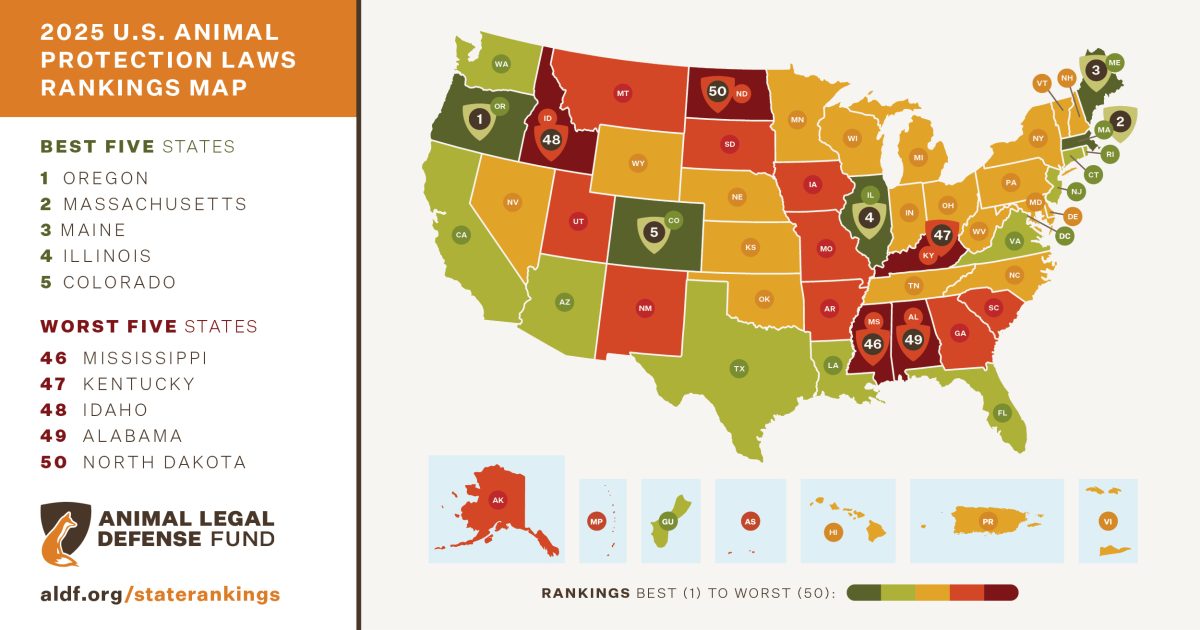 State Animal Protection Laws Ranked: Oregon is #1, North Dakota #50 ...