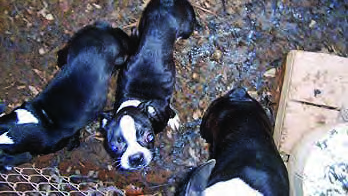 2005