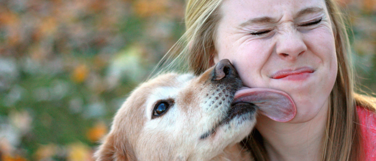 Animal Legal Defense Fund Urges Court to Acknowledge Pets’ True Value ...