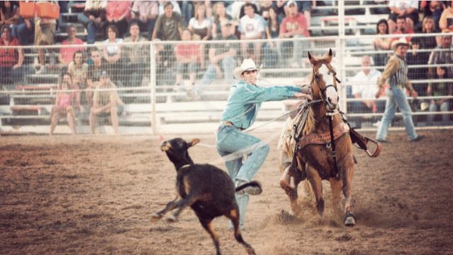 Rodeo Facts: The Case Against Rodeos
