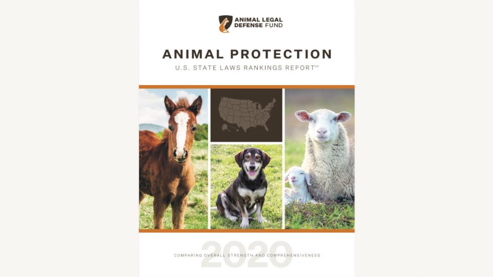 Laws Requiring Shelter for Animals Animal Legal Defense Fund