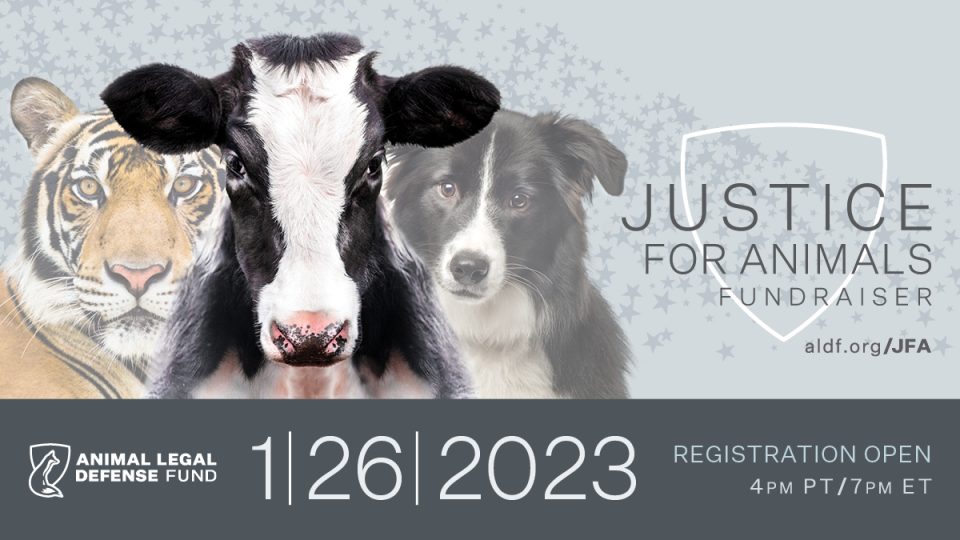 Ag-Gag Laws - Animal Legal Defense Fund